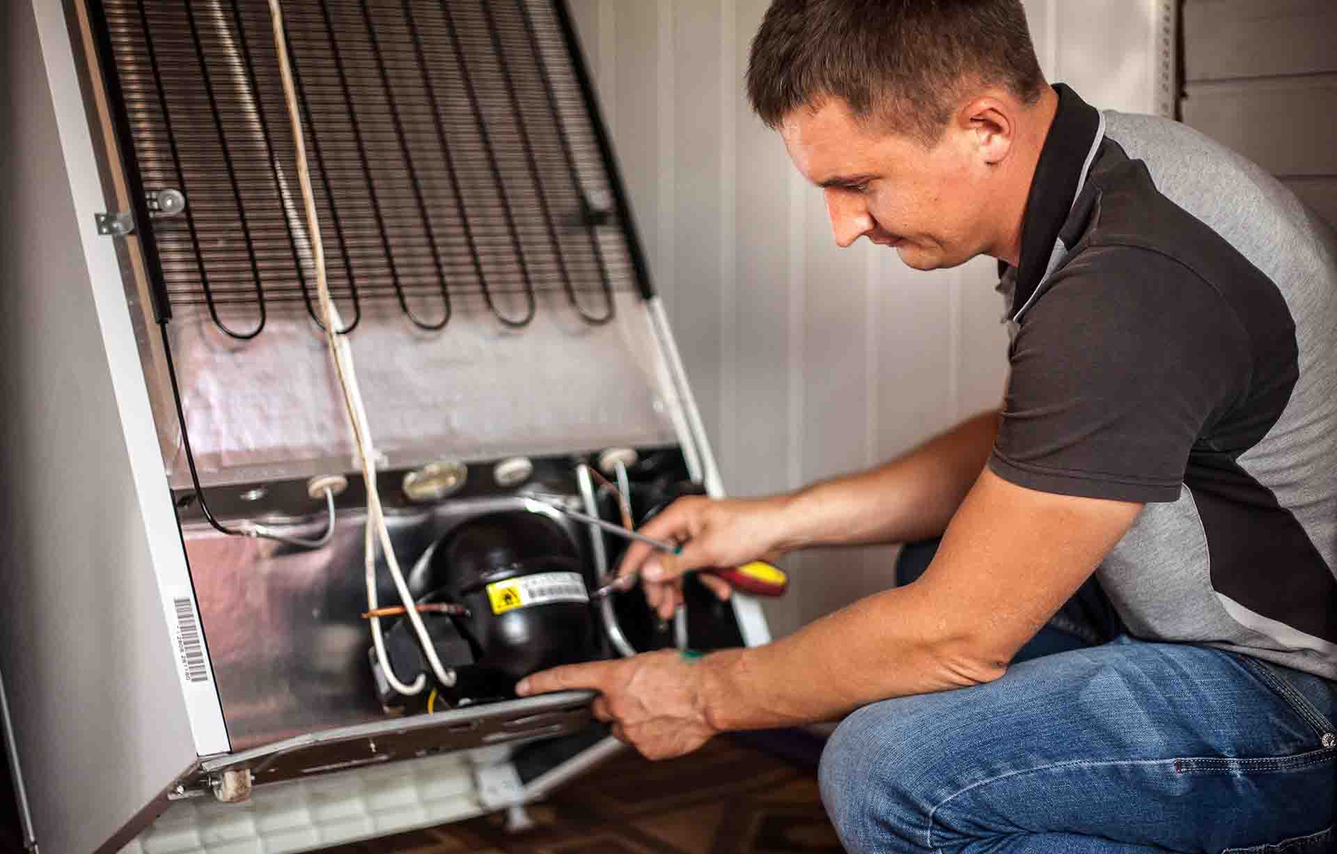 Factory-Trained Bosch Master Technicians at Your Door
